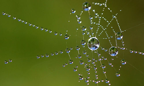 Netzwerke