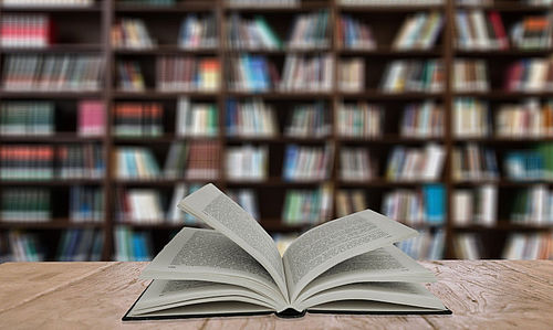Umweltbibliothek